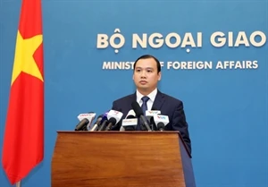 Le porte-parole du Ministère vietnamien des Affaires étrangères, Lê Hai Binh (Source: VNA)