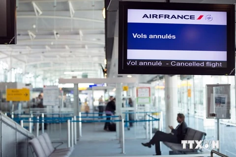 L'aéroport de Marseille Provence à Marignane (France). (Source: AFP/VNA)