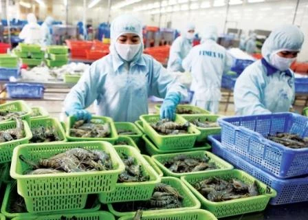 Le Vietnam reste en tête parmi des fournisseurs de crevettes transformées et congelées des Etats-Unis.