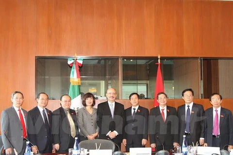 Le vice-ministre mexicain des Affaires étrangères Carlos Alberto de Icasa (centre) et la délégation de la Commission des relations extérieures de l'AN du Vietnam. (Photo: VNA)