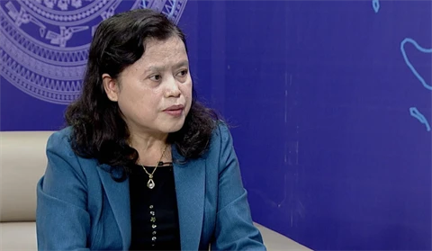 La vice-ministre de la Santé, Nguyên Thi Xuyên. (Source : VNA)