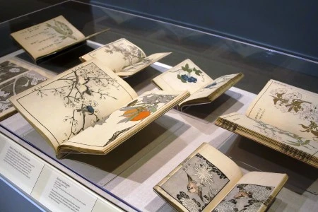 Une exposition de livres japonais s'ouvrira le 27 décembre à Hanoi. (Source : VNA)