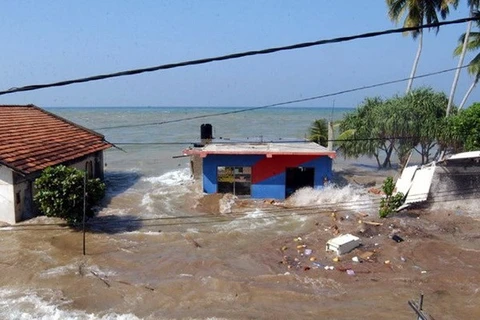 a Thaïlande a été l’un des quatre pays les plus touchés par le tsunami en 2004 avec plus de 11.000 morts et disparus.(Source : VNA)