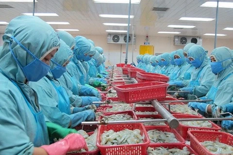 Transformation de crevettes destinées à l' exportation. Photo: VNA