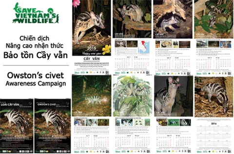Le calendrier sur le thème de la civette palmiste d’Owston. Photo : SVW/CVN