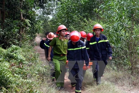 Les forces compétentes ont quadrillé tout le secteur où l'hélicoptère est tombé. Photo: VNA