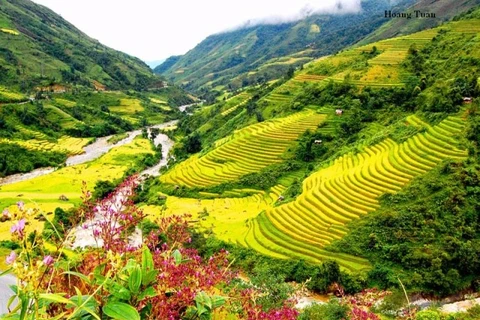 Muong Hoa, une vallée pittoresque à Sa Pa 