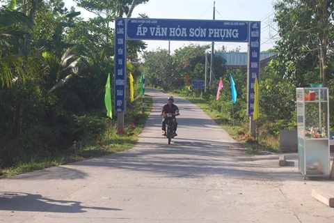 Un chemin bétonné de la commune de Son Dinh, la quatrième de la province de Bên Tre à remplir les 19 critères de la Nouvelle ruralité en 2014. 