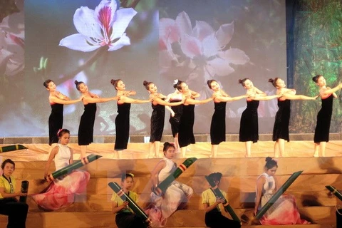 Un numéro artistique lors de la cérémonie d'ouverture de la fête de la bauhinie de Dien Bien. Photo: VNA