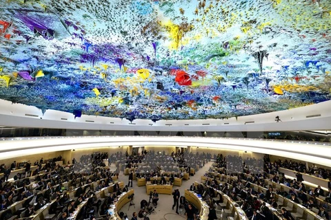 Une séance plénière du Conseil des droits de l'homme des Nations unies. Photo : AFP/VNA