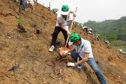 Les dirigeants de la compagnie Honda Vietnam participe à la Fête du boisement 2015. Photo: VNA