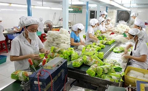 Une chaîne de production de vermicelles de riz de la compagnie Bích Chi. Photo : V.TR/CVN/VNA