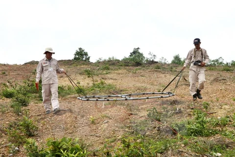 Neutralisation des bombes et mines dans la province centrale de Quang Tri. Photo: VNA