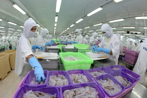 Transformation de crevettes pour l'exportation. Photo: VNA