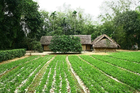 La zone de vestige national spécial de Kim Lien, dans la commune de Nam Dan, province de Nghe An est le pays natal du Président Ho Chi Minh. 