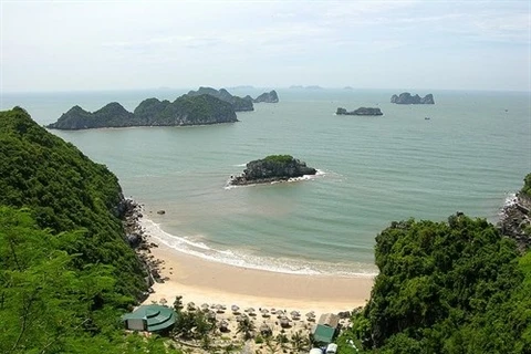 L'île de Côn Co fait partie des cinq Réserves marines du Vietnam. Photo : Archives