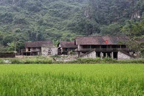 Деревня Кхуойки (община Дамтуи, уезд Чунгкхань, провинция Каобанг), располагается всего в 2 км от туристической зоны «Водопад Банзок». Здесь дома построены на сваях, прислоненными к скале. (Фото: Vietnam+)