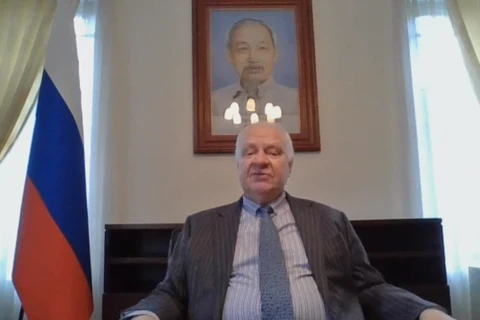 Посол РФ во Вьетнаме Константин Васильевич Внуков дает интервью по Skype. (Скриншот)
