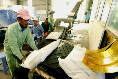 За прошедший год министерство промышленности и торговли предоставило 47 сертификатов о праве на экспорт риса компаниям. (Иллюстративное изображение. Источник: ВИА)