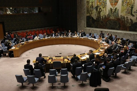 Заседание Совета Безопасности ООН 13 января (Фото: ВИА)