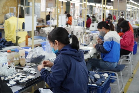 Продукция текстильно-швейного торгового предприятия “Тханьбинь” (район Лонгбьен, город Ханой) продается в ЕС и многие другие страны, такие как США... (Фото: Суан Куанг / Vietnam+)