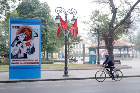 Пано, национальные флаги на улице Ле Тхать. (Фото: Хоанг Хиеу/ВИА) 