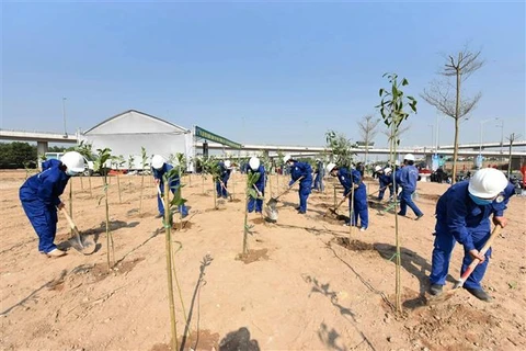 Работники компании по парковскому устройству Ханоя откликнулись на компанию «Тэт посадки деревьев в благодарность дяде Хо» - 2021 г. (Фото: ВИА)
