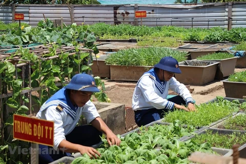 После тренировки солдаты на острове Анбанг отправились на полевые работы в своем саду. (Фото: Vietnam+)