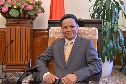 Посол Нгуен Хонг Тхао. (Фото: ВИА)