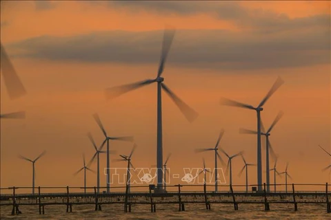 Ветровая электростарнция в провинции Баклиеу. (Фото: ВИА)