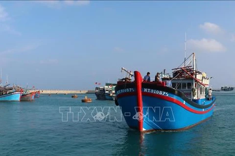 Рыбацкие лодки заходят в доки на острове Да Тэй А, чтобы заправиться топливом и льдом для сохранения морепродуктов. (Фото: ВИА)
