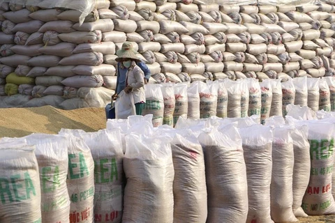 Экспорт риса из Вьетнама продолжает расти. (Фото: ВИА)