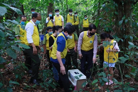 Г-н Нгуен Ван Тьинь (крайний слева) инструктировал группу посетителей по отпуску животных в лес. (Фото: Национальный парк Кукфыонг )
