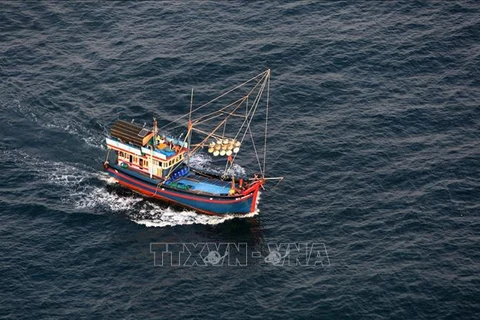 Рыбацкие лодки в водах Фукуока, провинция Киенжанг. (Фото: ВИА)