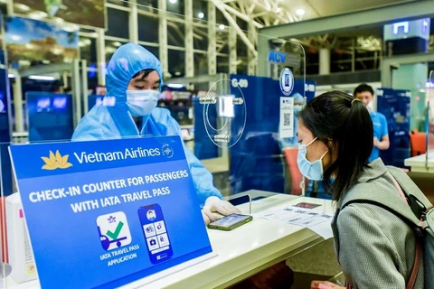 Vietnam Airlines успешно применила заявку на получение электронного паспорта здоровья на ряде рейсов в Европу и за границу из Вьетнама. (Фото: Vietnam+)