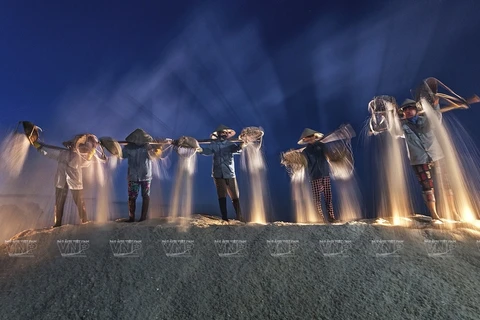 «Ночной сбор соли». (Фото: ВИА)