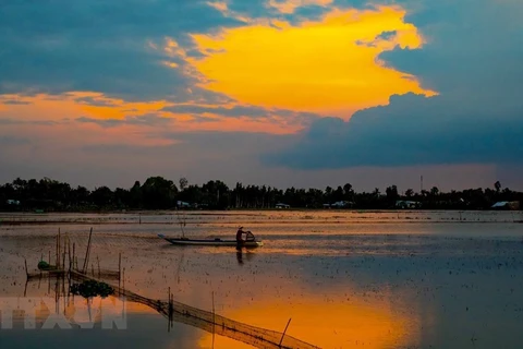 Жители ловят рыбу на затопленных полях. (Фото: ВИА)
