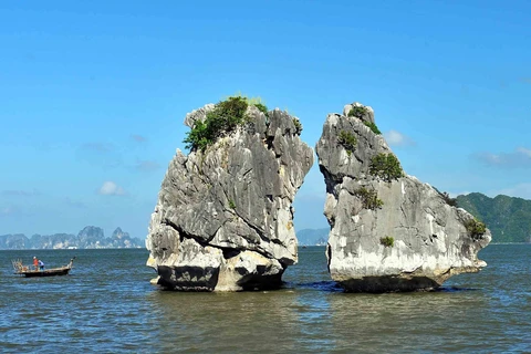 Всемирное природное наследие залив Халонг обладает особыми ценностями и уникальными природными ландшафтами в мире. (Фото: ВИА)