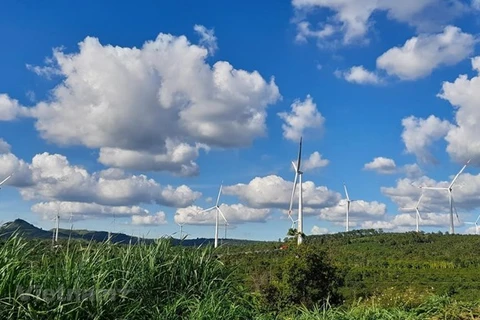 Развитие возобновляемых источников энергии (ветроэнергетика) в направлении устойчивого развития. (Фото: Хунг Во/Vietnam+)