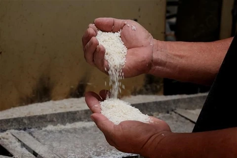 Индонезия импортировала 1 миллион тонн риса из Таиланда, Вьетнама, Пакистана и Мьянмы. (Фото: Хонг Дат/ВИА)
