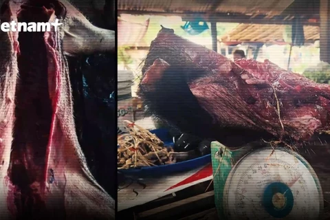 По разным путем и уловкам мясо диких животных было незаконно перевезено из Лаоса во Вьетнам. (Фото: Vietnam+)