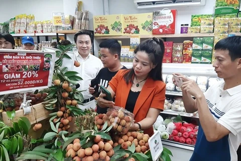 Многие вьетнамские сельскохозяйственные продукты экспортируются в Японию и другие страны мира. (Фото: корреспондент Vietnam+)