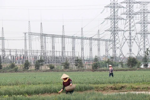 Работа по реагированию на изменение климата, зеленому росту и устойчивому развитию требует мобилизации зеленого финансирования. (Фото: Хань Нгуен/ Vietnam+)