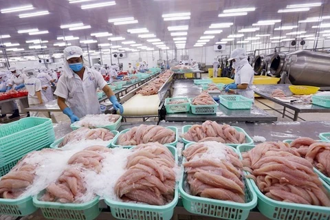 Вьетнам планирует заработать 9 млрд. долларов на рыбном экспорте в 2020 году. (Фото: ВИА)