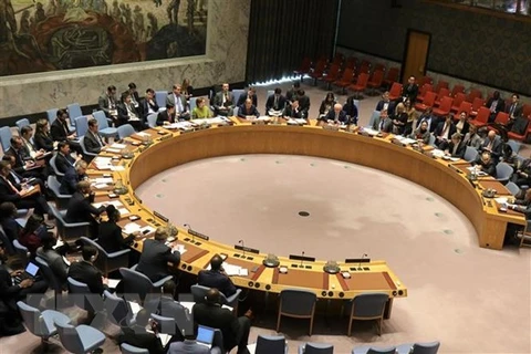 Вьетнам поддерживает резолюцию СБ ООН о поддержке выполнения решений международной конференции в Берлине, Германия, 19 января. (Фото: ВИА)