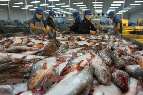 Экспорт морепродуктов всегда положительно растет. (Фото: Хи Хунг/ВИА)