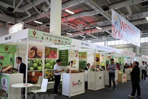 Павильон Вьетнама на выставке Fruit Logistica 2020. (Фото: Тхань Бинь/ВИА)