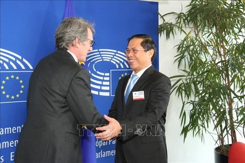 Заместитель министра иностранных дел Буй Тхань Сон (справа) встречается с президентом Европейского парламента Дэвидом Сассоли (Фото: ВИA)