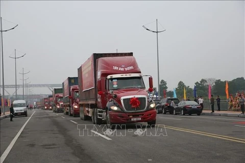 Доставка товаров в Китай по мосту Баклуан-2 (Фото: ВИА)