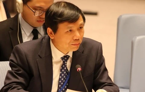 Посол Данг Динь Куи, глава Постоянного представительства Вьетнама при Организации Объединенных Наций (Фото: ВИА)